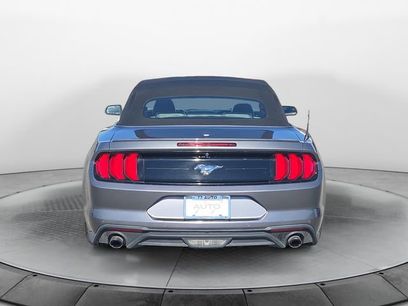 Used 2023 Ford Mustang Premium