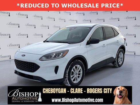 Used 2022 Ford Escape SE w/ Cold Weather Package image 1