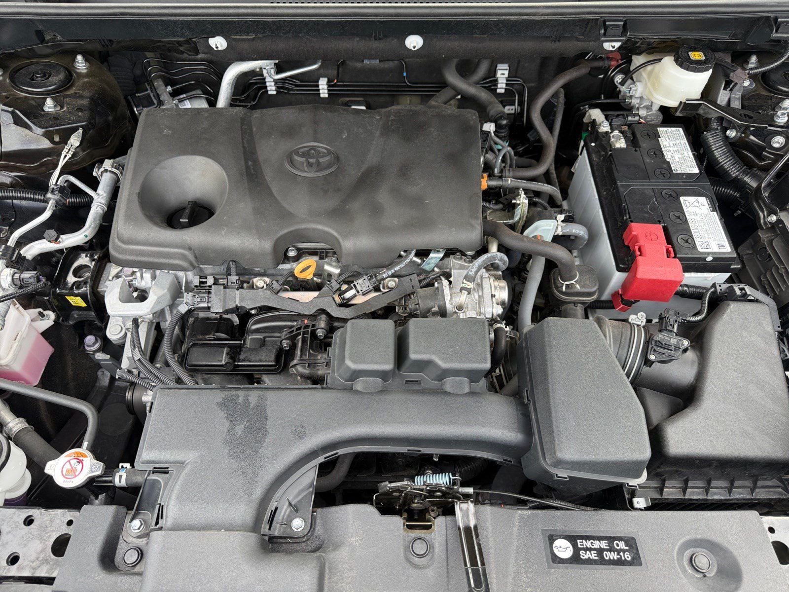 Certified 2024 Toyota RAV4 XLE Premium AWD/4WD image 20