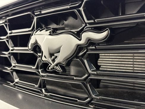 New 2026 Ford Mustang Dark Horse RWD image 16