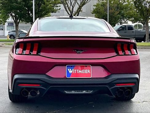 New 2026 Ford Mustang Coupe w/ Mustang Nite Pony Package RWD image 4