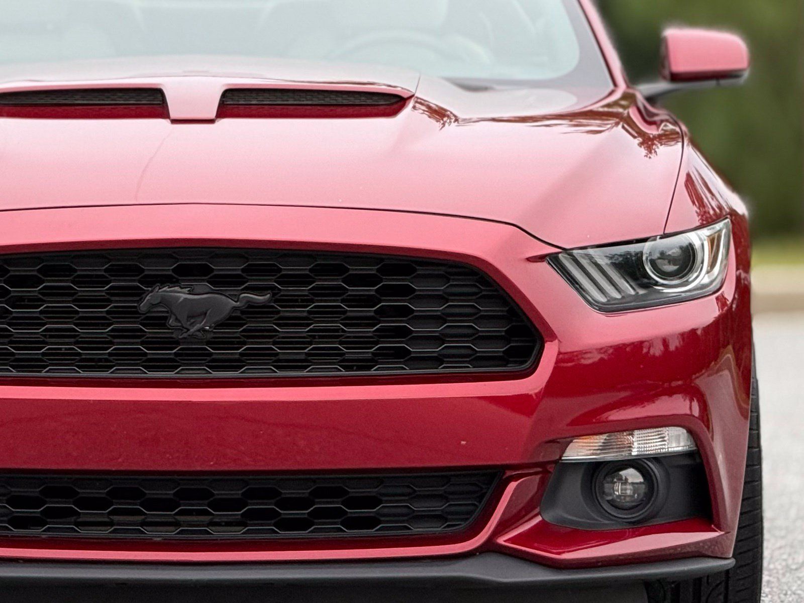 Used 2017 Ford Mustang Premium RWD image 15