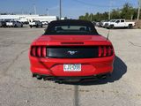 Used 2018 Ford Mustang Premium w/ Equipment Group 201A image 3