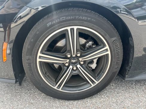 Used 2025 Ford Mustang Premium RWD image 14