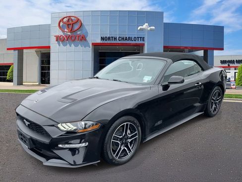 Used 2019 Ford Mustang Premium image 4