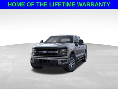 New 2024 Ford F150 XLT w/ Equipment Group 303A High