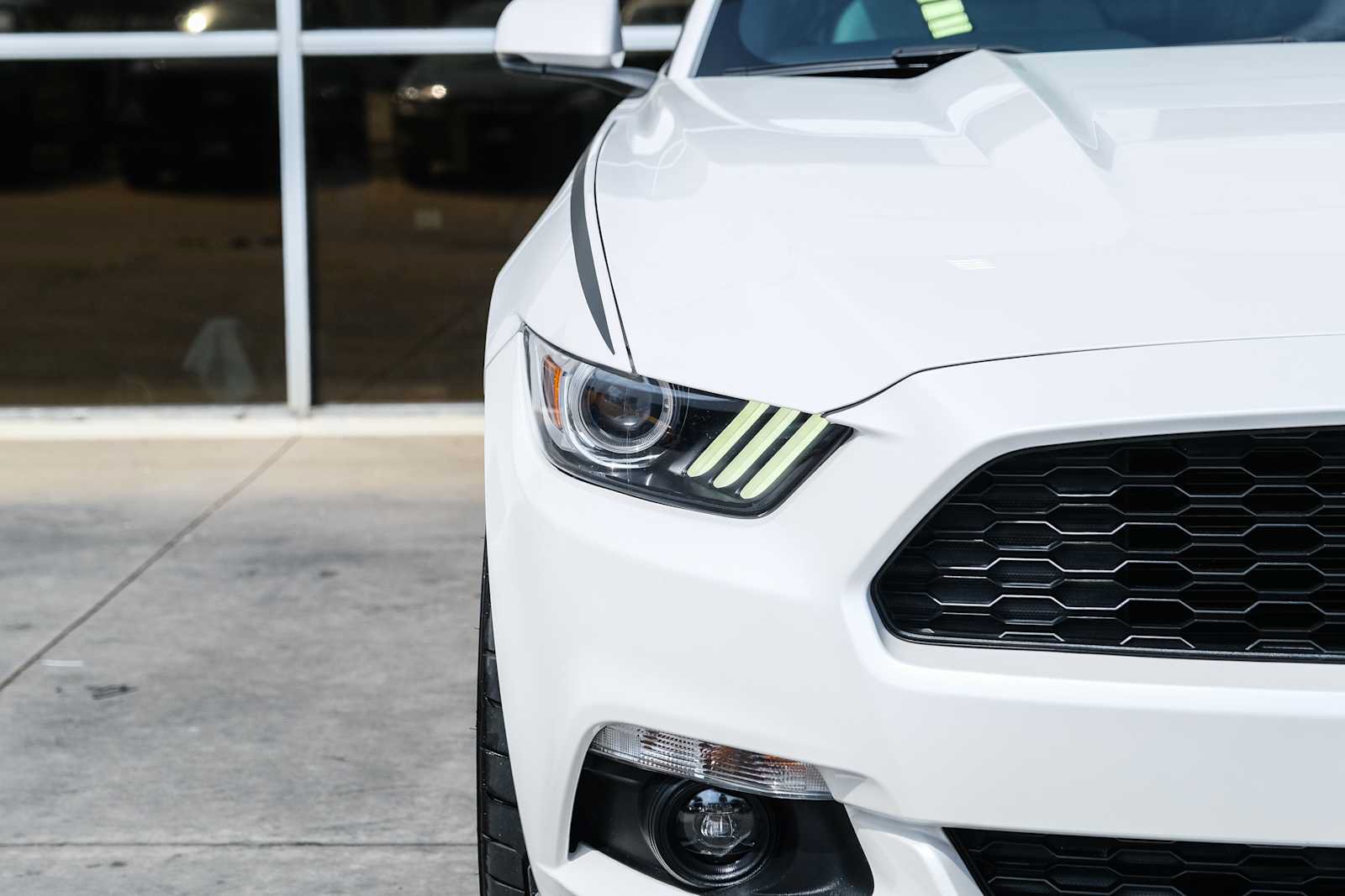 Used 2017 Ford Mustang Premium w/ Equipment Group 201A RWD image 3