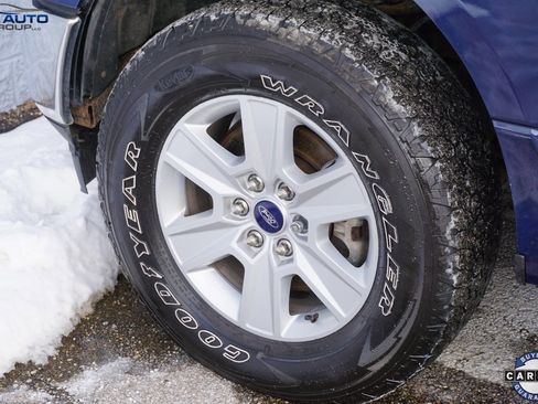 Used 2019 Ford F150 XLT w/ Equipment Group 301A Mid image 14