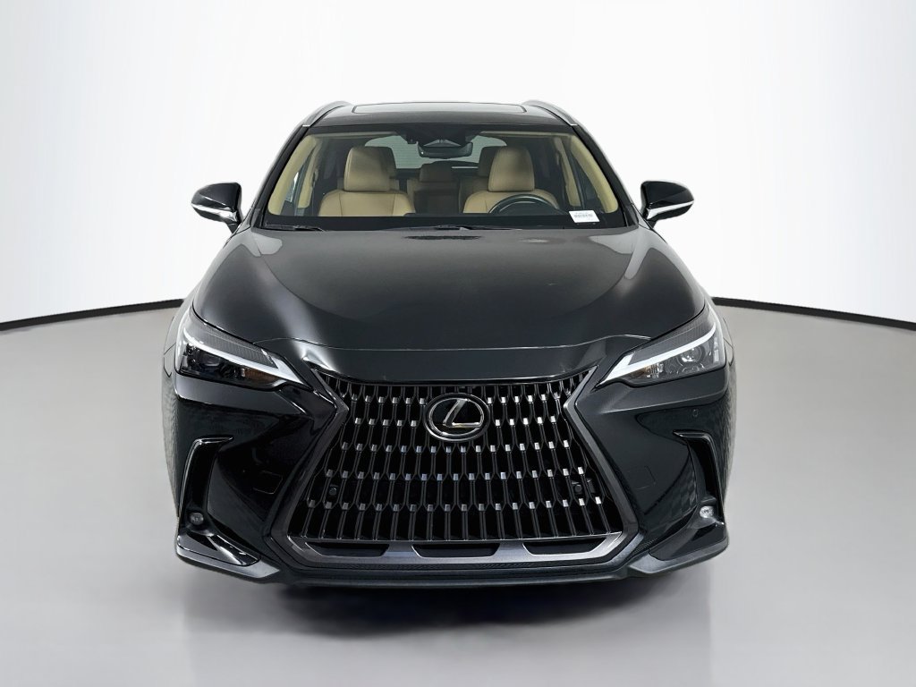 Certified 2025 Lexus NX 350h AWD w/ Cold Area Package image 2
