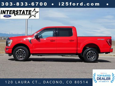 Used 2023 Ford F150 XLT w/ Equipment Group 302A High image 2