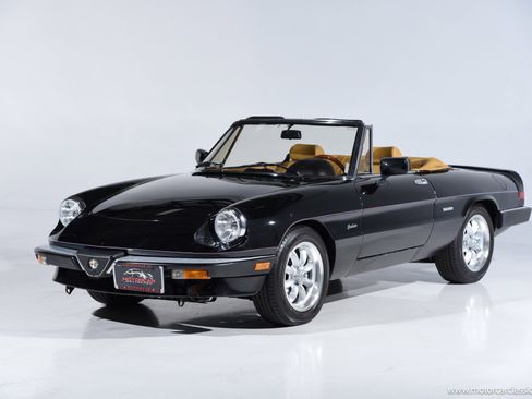 Used 1988 Alfa Romeo Spider Graduate image 5