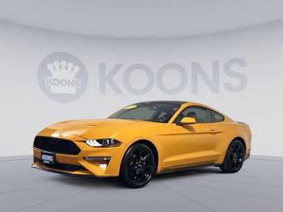 Used 2019 Ford Mustang Coupe w/ Equipment Group 101A