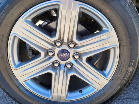 Used 2019 Ford F150 XLT w/ Equipment Group 302A Luxury image 12