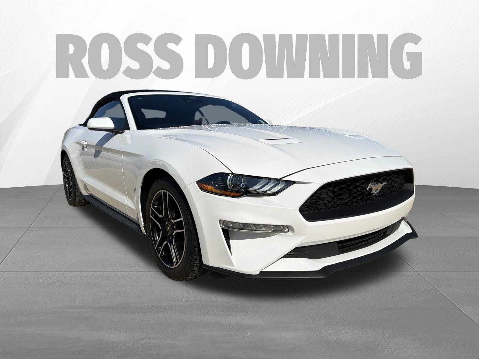 Used 2022 Ford Mustang Premium RWD image 3