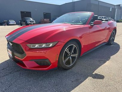 Certified 2019 Ford Mustang Premium w/ Equipment Group 201A