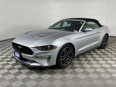 Used 2019 Ford Mustang Premium