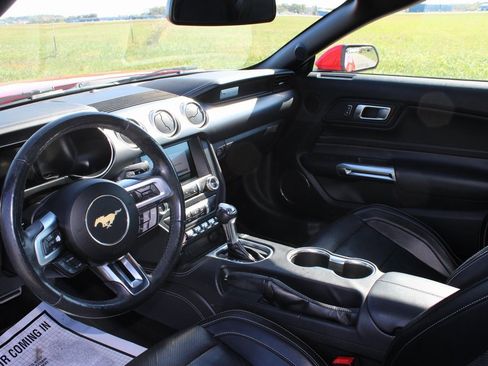 Used 2019 Ford Mustang GT Premium w/ Equipment Group 401A image 12