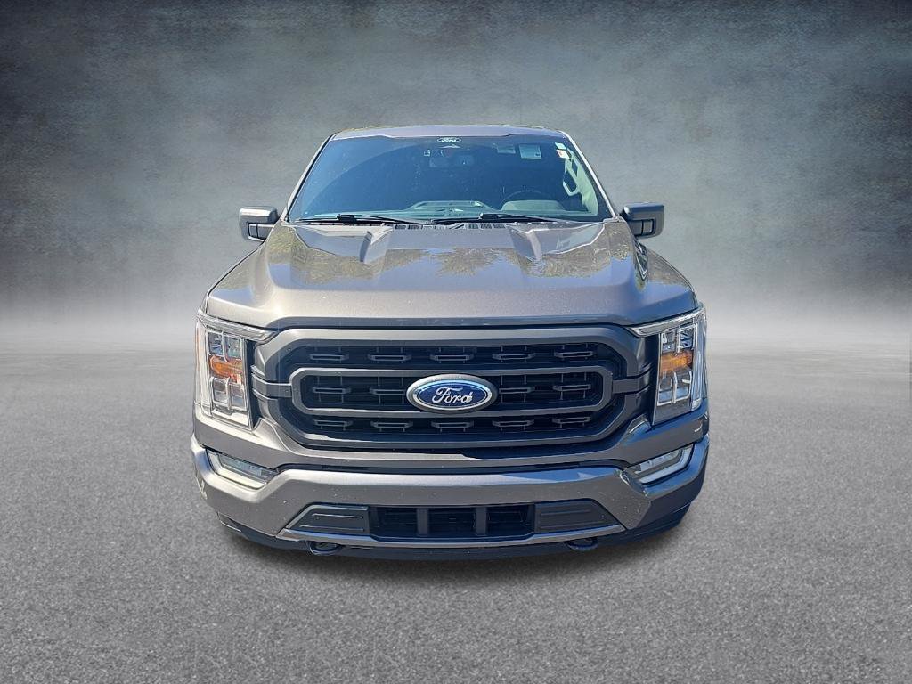Used 2021 Ford F150 XLT w/ Equipment Group 302A High AWD/4WD image 3