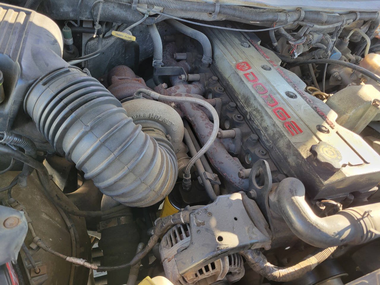 Used 1999 Dodge Ram 2500 Truck 4x4 Regular Cab image 12