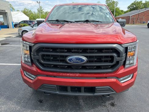 Used 2023 Ford F150 XLT w/ Equipment Group 302A High AWD/4WD image 7