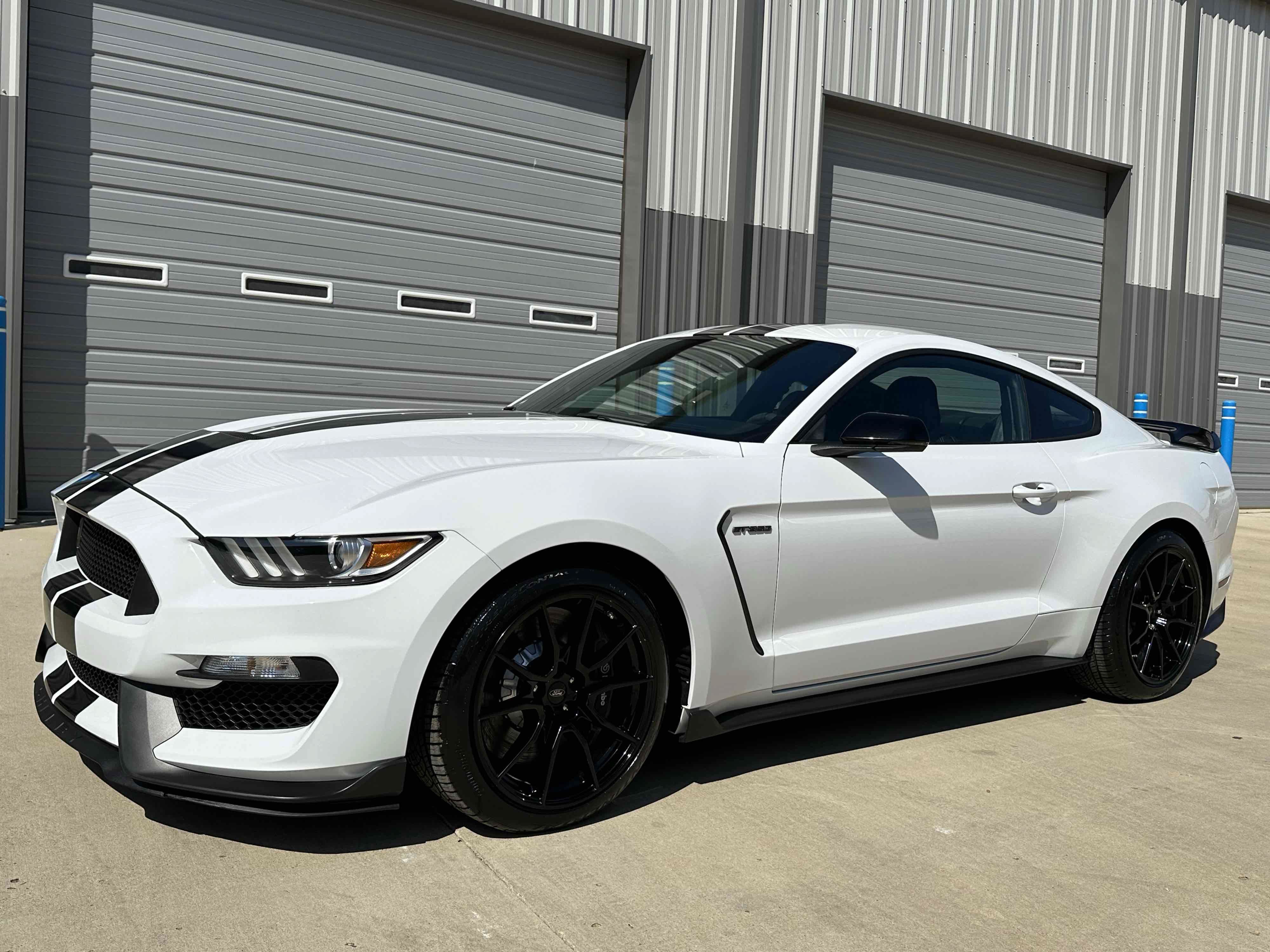 Used 2019 Ford Mustang Shelby GT350 w/ Technology Package RWD image 11