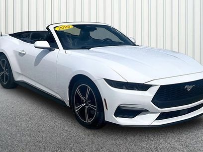Used 2025 Ford Mustang Premium