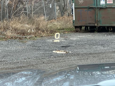 Used 2024 GMC Sierra 1500 AT4X image 41