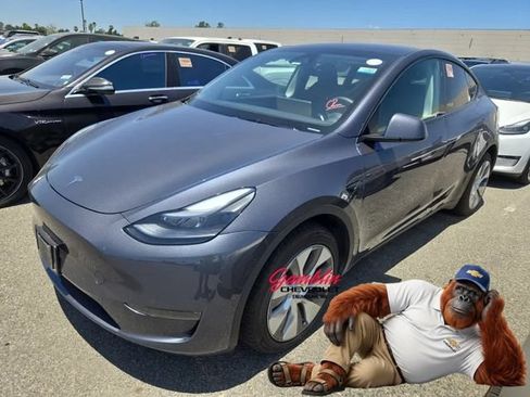 Used 2023 Tesla Model Y Long Range AWD/4WD image 1