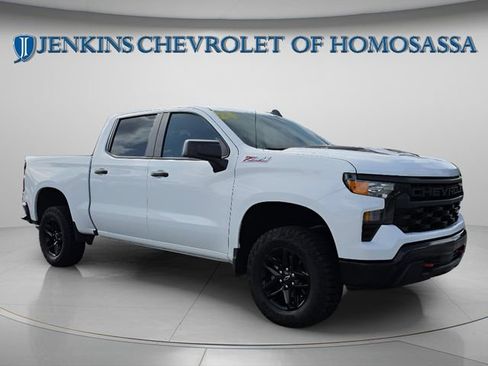 Used 2024 Chevrolet Silverado 1500 Custom Trail Boss AWD/4WD image 2