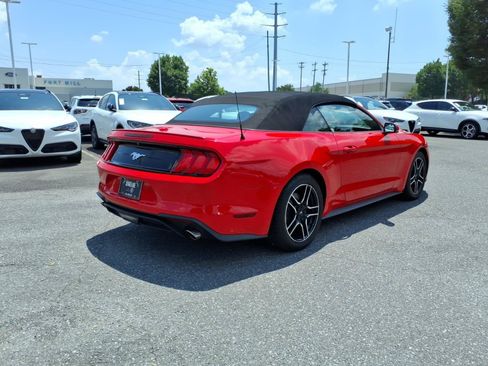 Used 2019 Ford Mustang Premium RWD image 2