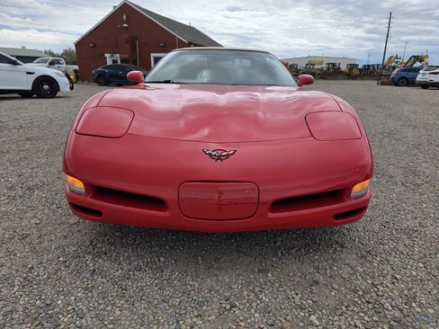 Used 1998 Chevrolet Corvette Convertible image 2