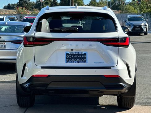 Certified 2025 Lexus NX 250 FWD w/ Premium Package image 5