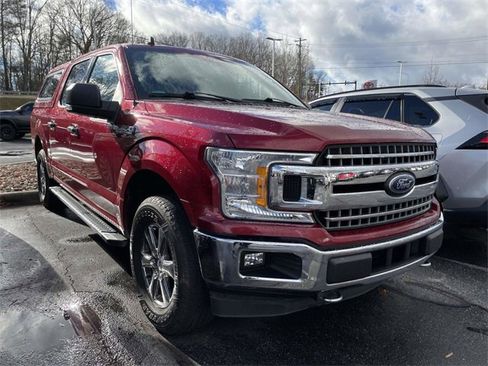 Used 2019 Ford F150 XLT w/ Equipment Group 302A Luxury image 5
