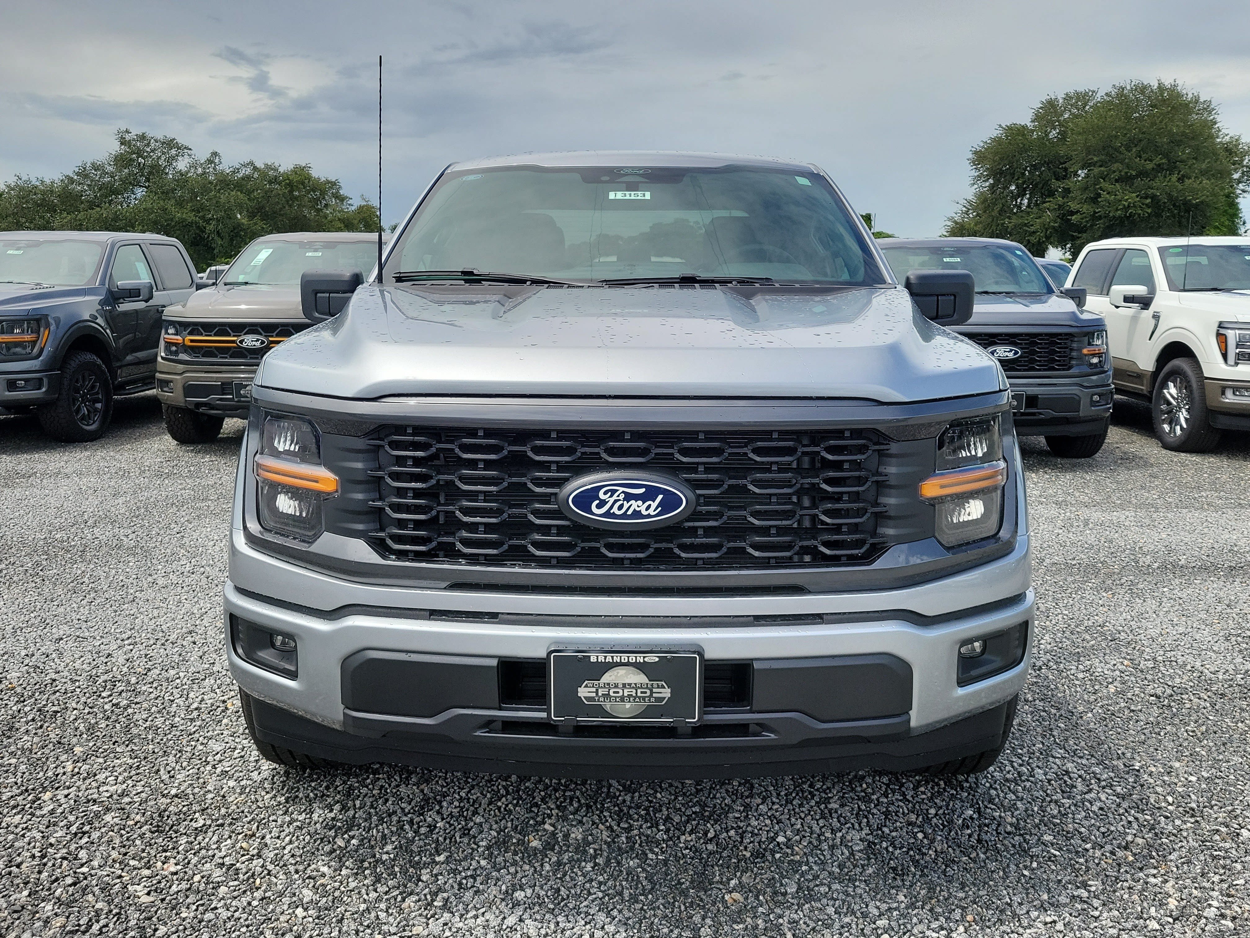 New 2026 Ford F150 STX w/ Equipment Group 200A RWD image 3