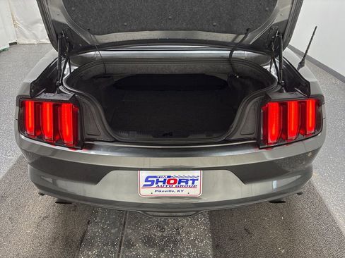 Used 2017 Ford Mustang Premium image 8