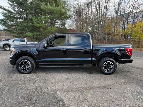 Used 2023 Ford F150 XLT w/ Equipment Group 302A High image 2