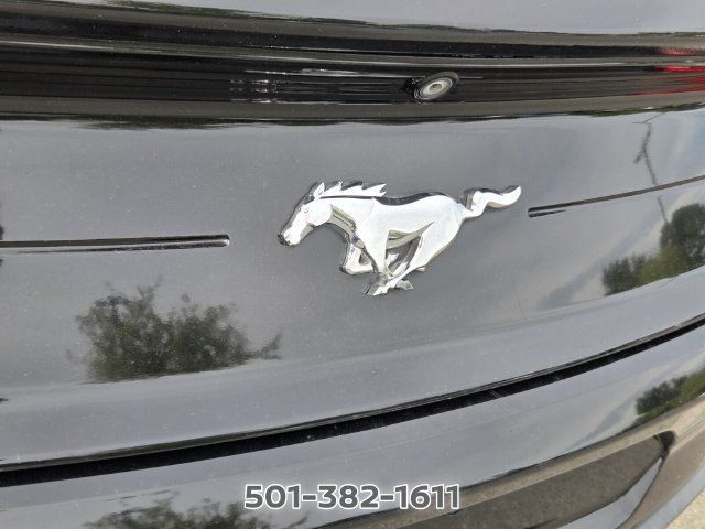 Used 2021 Ford Mustang Coupe RWD image 9