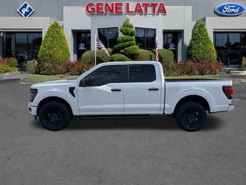 Certified 2024 Ford F150 STX w/ STX Black Appearance Package AWD/4WD image 3