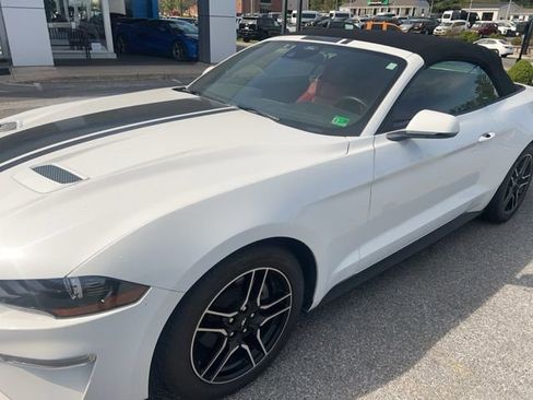 Used 2022 Ford Mustang Premium w/ Equipment Group 201A image 5