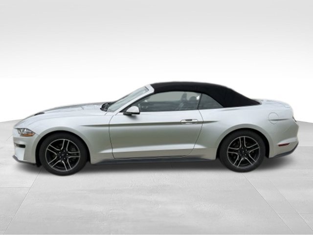 Used 2018 Ford Mustang Premium w/ Equipment Group 201A RWD image 2