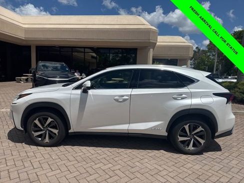 Used 2020 Lexus NX 300h AWD w/ Premium Package image 4