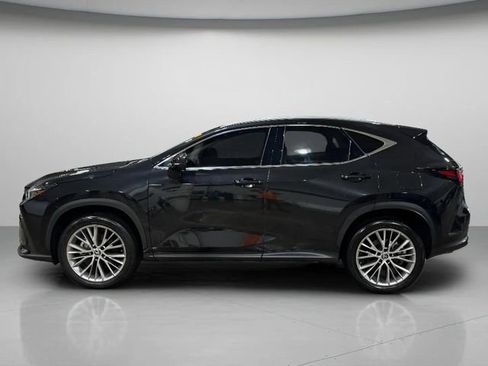 Certified 2025 Lexus NX 350 AWD w/ Premium Package image 7