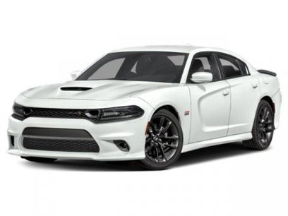 Used 2019 Dodge Charger Scat Pack w/ Daytona Edition Group
