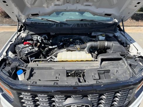 Used 2024 Ford F150 STX w/ STX Black Appearance Package image 6