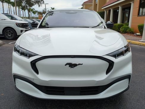 New 2025 Ford Mustang Mach-E Premium w/ Interior Protection Package image 9