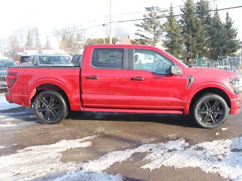 New 2025 Ford F150 STX w/ LOBO Package image 9