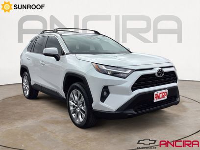 Used 2025 Toyota RAV4 XLE Premium