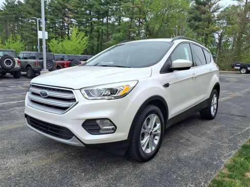 Used 2019 Ford Escape SEL AWD/4WD image 4