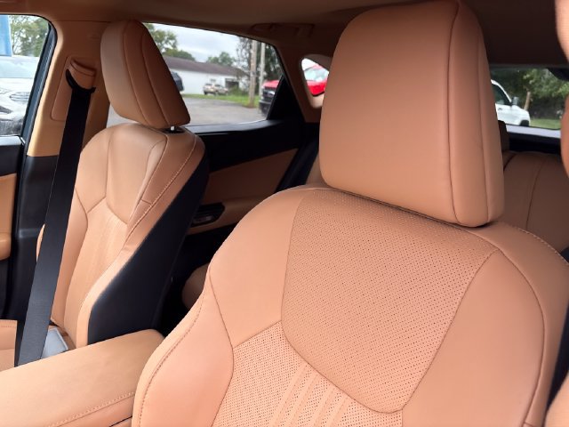 Used 2024 Lexus NX 350h AWD image 9