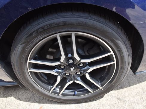 Used 2019 Ford Mustang Premium w/ Enhanced Security Package RWD image 13